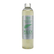 Гель для душа Saponificio Varesino Felce Aromatica: primary picture