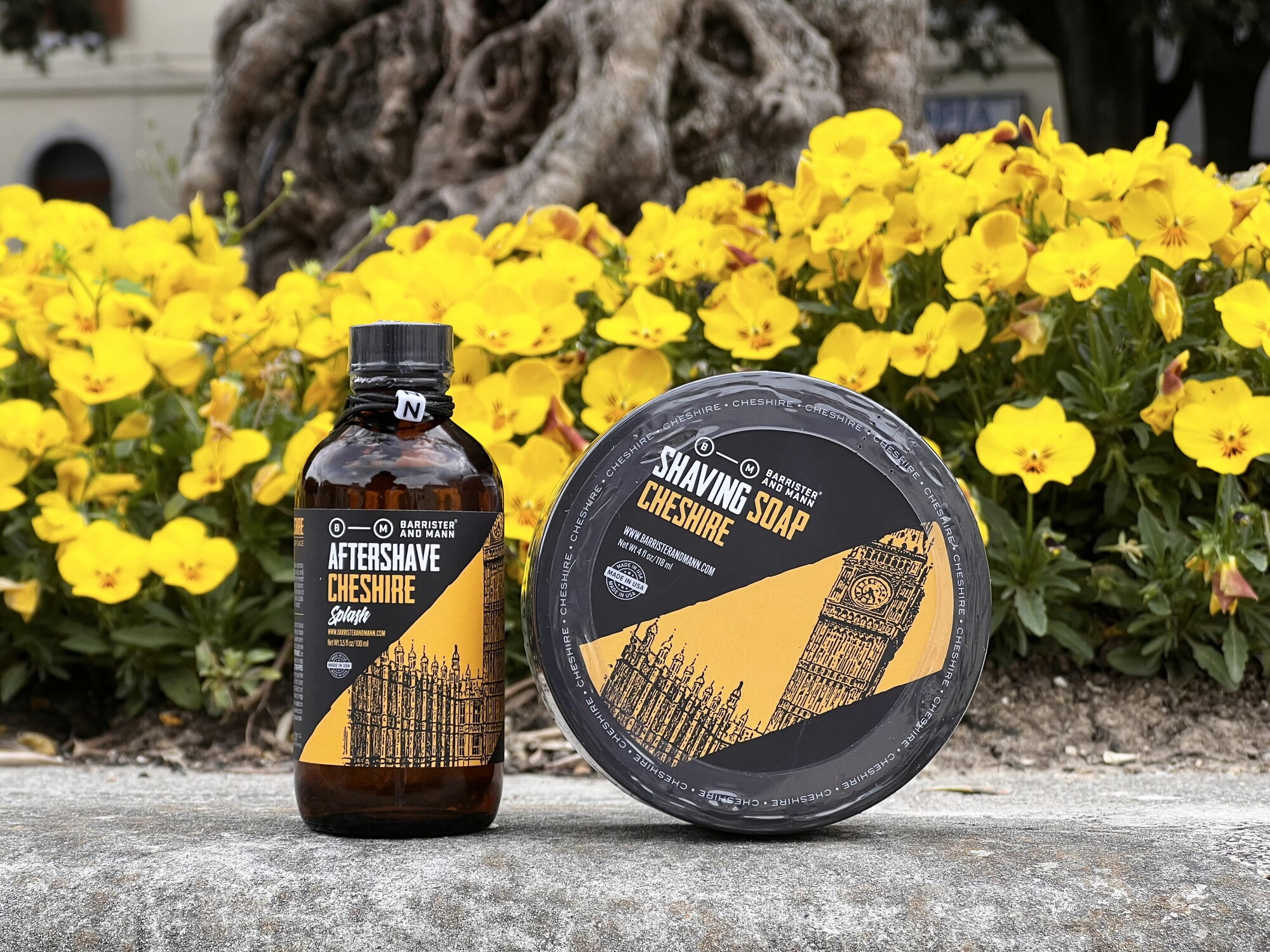 Barrister and Mann. История адвоката и человека